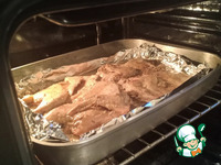 �������-���������, ���������� � ������� �����������