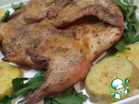 �������-���������, ���������� � ������� �����������