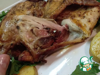 �������-���������, ���������� � ������� �����������