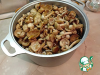 �����, ������������ ��� �������� �����������