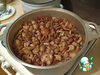 �����, ������������ ��� �������� �����������