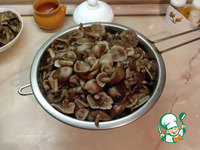 �����, ������������ ��� �������� �����������