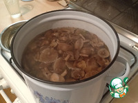 �����, ������������ ��� �������� �����������