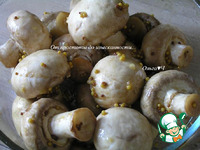 ��������� ���������� � ��������� �������� �����������