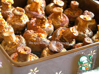 ��������� ���������� � ��������� �������� �����������