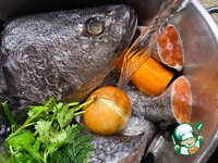 ������� ������ ������� �����������