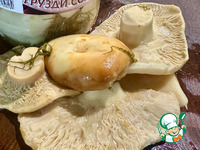 ������� ������ ������� �����������