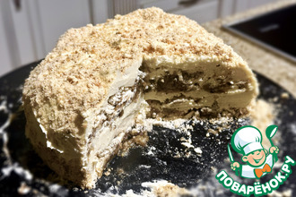 ������: ���� "�����"