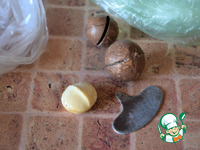 ������ � ����������� � �������� ���� �����������