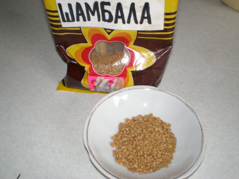 Пища богов 8. Пища богов уэллс иллюстрации. Бог какао. Пища богов коктейль. Пища богов диетическое питание.