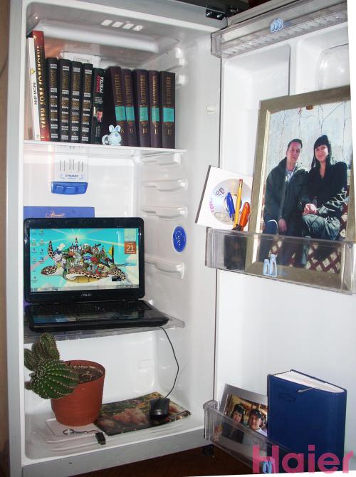 ������ ����-2010