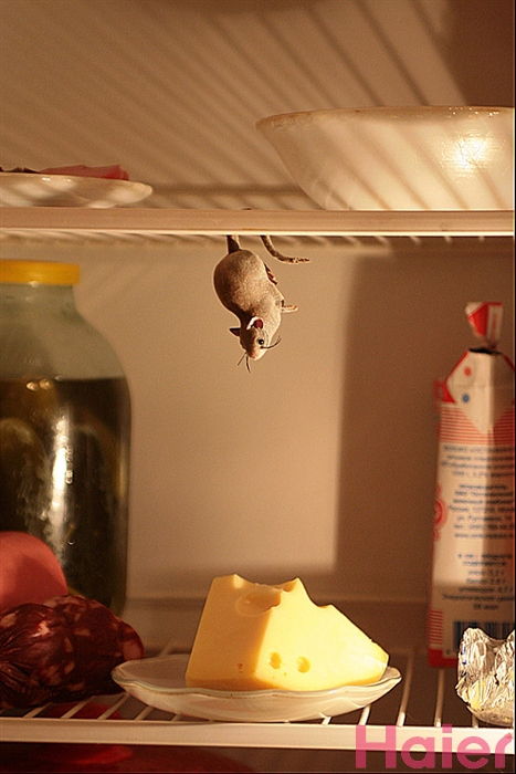 ������� ���-�� ��� ������ ������� ����...