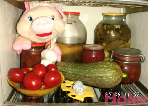 ������ ������ �� ������� ���- ��� ������  � ������������.