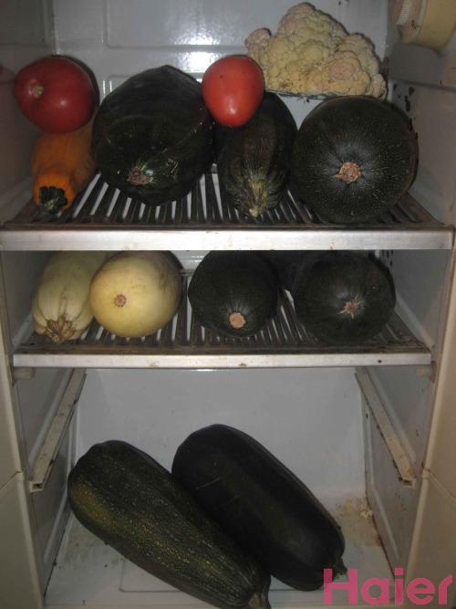 ������� ���, ��� ���� ���������.