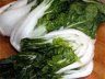  , Bok choy