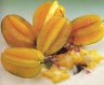 , Carambola - star fruit