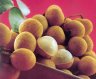 , Longan