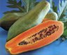 Caria papaya, 