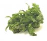  , Oakleaf lettuce