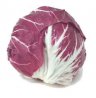 , Radicchio