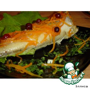 ������: ���� � �������� � �������