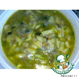 ������: ������� ����