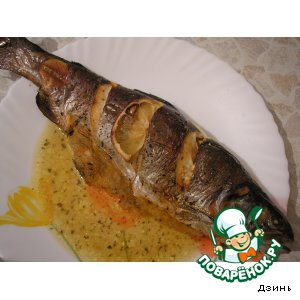 ������: ������, ���������� � ������