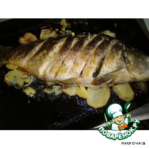 Рецепт Запеченная рыба