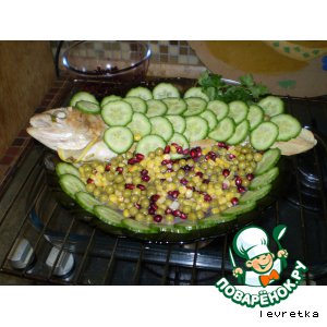 ������: ���� � ������