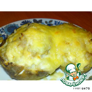 ������: ��������� � �������