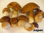 Пищевые добавки из сухих трав и грибов thumbnail